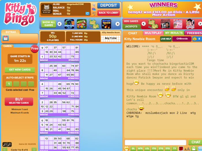 Kitty Bingo Free Spins Code